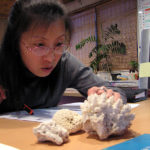 ダイビング　環境保護　PADI　AWARE　珊瑚の保護　神奈川　