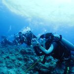 パラオ ブルーコーナー　ダイビング