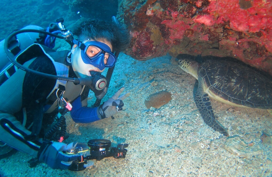 屋久島 ダイビング　鹿児島　観光　神奈川　ダイビングショップ　ウミガメ