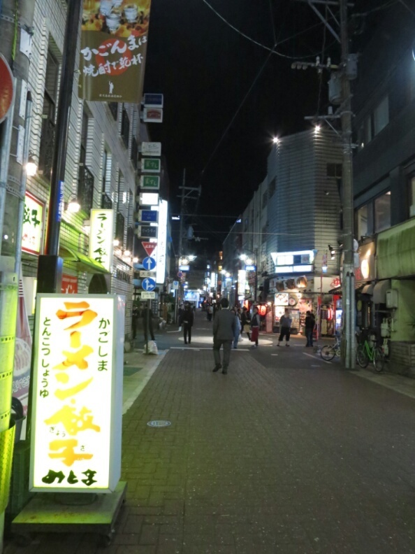 屋久島 ダイビング　鹿児島　観光　神奈川　ダイビングショップ　天文館