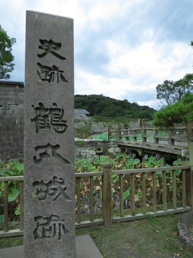 屋久島 ダイビング　鹿児島　観光　神奈川　ダイビングショップ　鹿児島観光