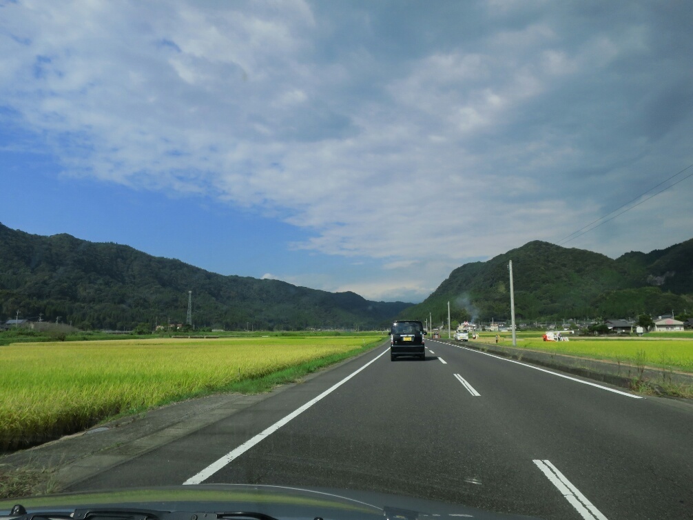 屋久島 ダイビング　鹿児島　観光　神奈川　ダイビングショップ　鹿児島観光