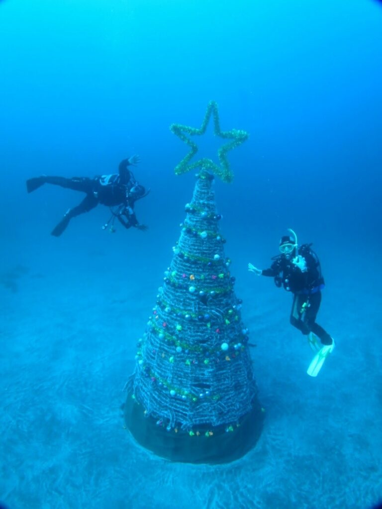 水中クリスマスツリー 伊豆海洋公園