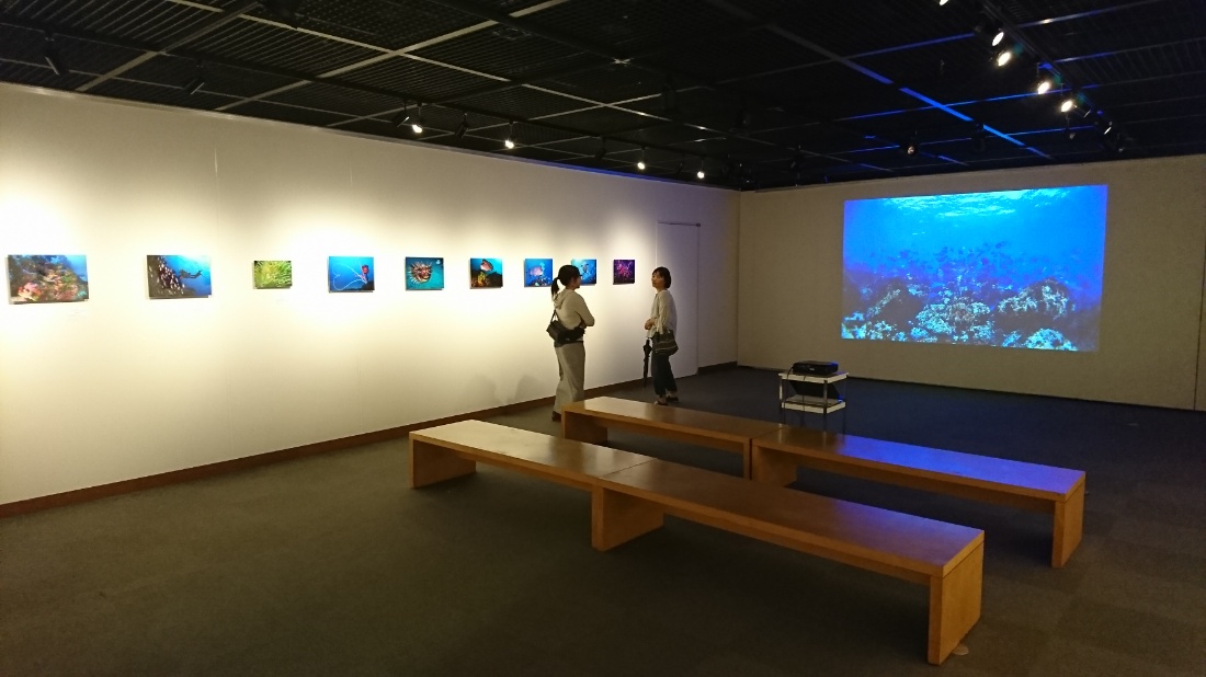 伊豆海洋公園　写真展　IOP　みなとみらい