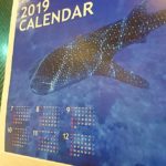 水中カレンダー　