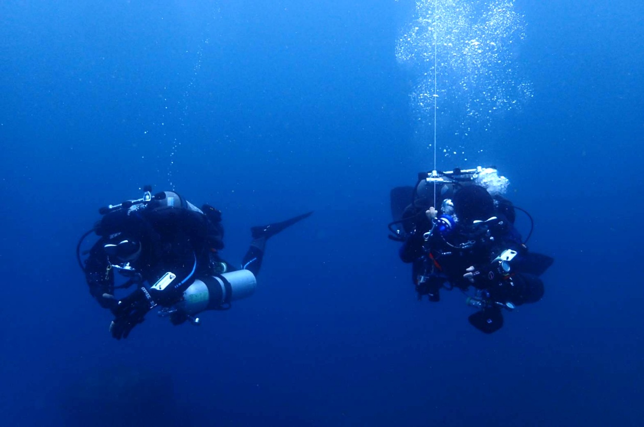 テックダイビング　神奈川　大船　PADI