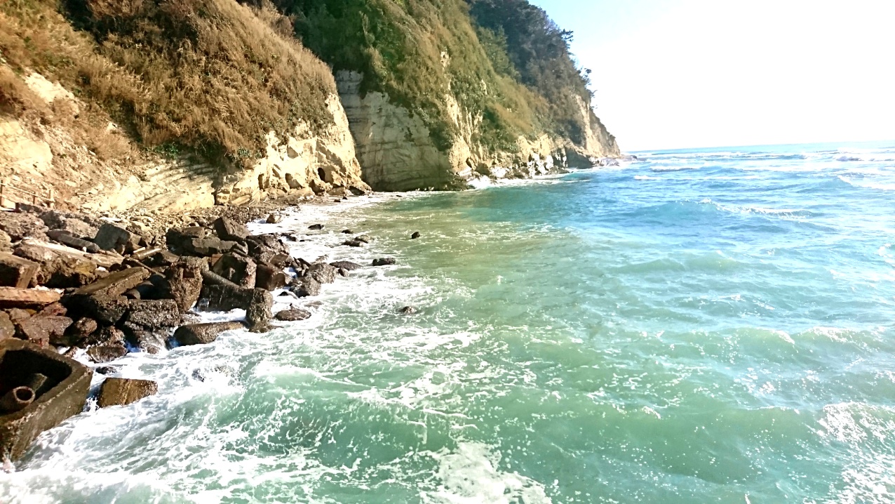 逗子　気温　20度　小坪　海