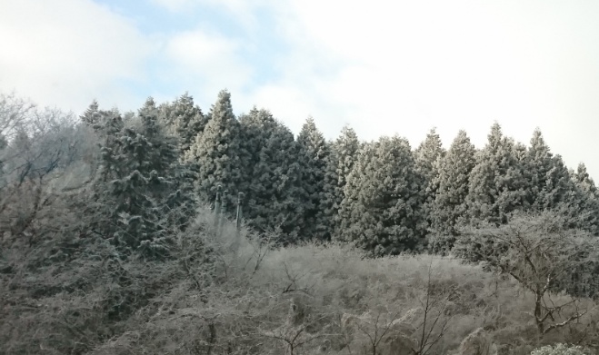 箱根 雪景色 雪化粧