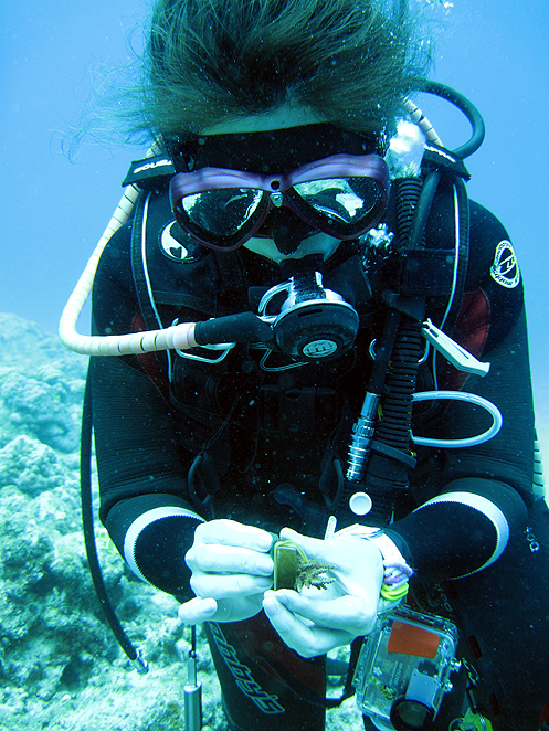 沖縄　珊瑚　サンゴ　植え付け　那覇