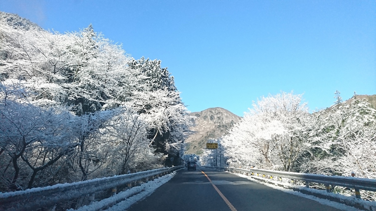 箱根 霧氷