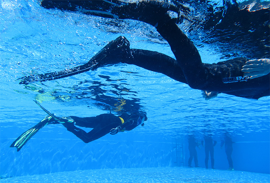 PADI　ダイブマスター　神奈川　プール