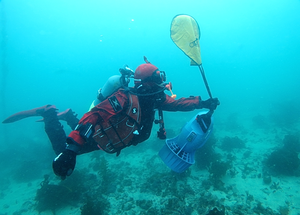 水中スクーター ダイビング 講習 PADI