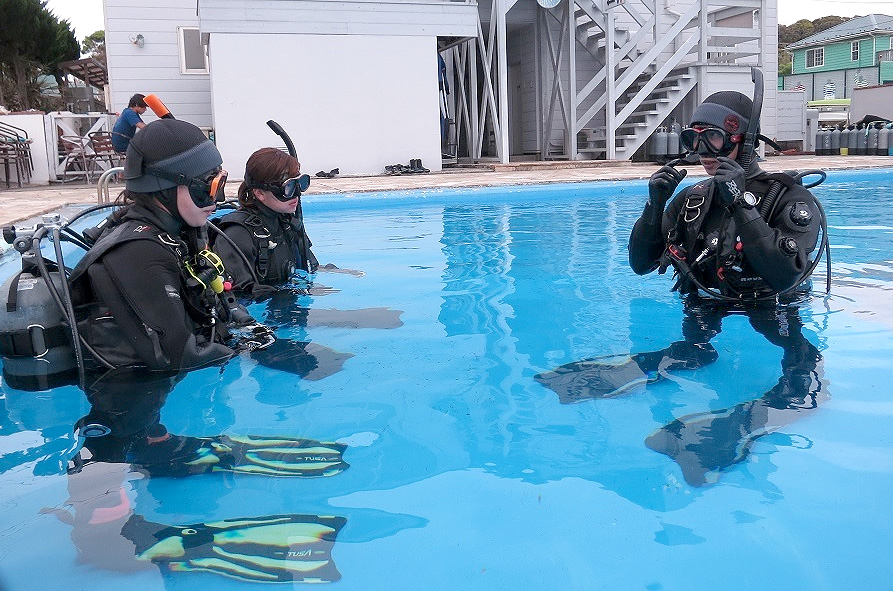 PADI　ダイブマスター　スクバリビュー