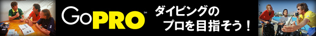 PADI　PRO　プロ　インストラクター　ダイブマスター