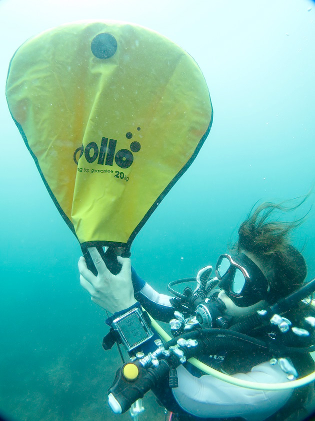 PADI　ダイブマスター　サーチ　リフトバック