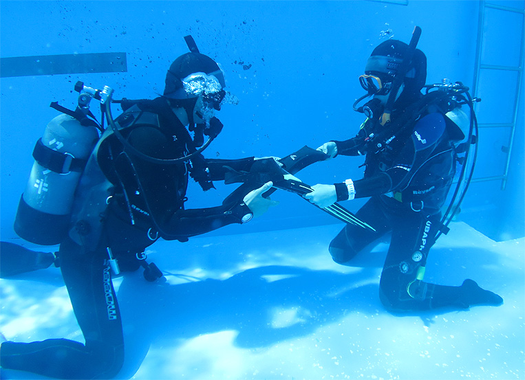 PADI　ダイブマスター　神奈川　プール