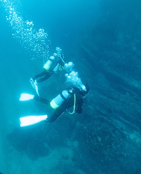 宮川湾　ダイビング