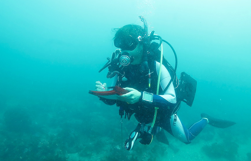 PADI　ダイブマスター　水中地図