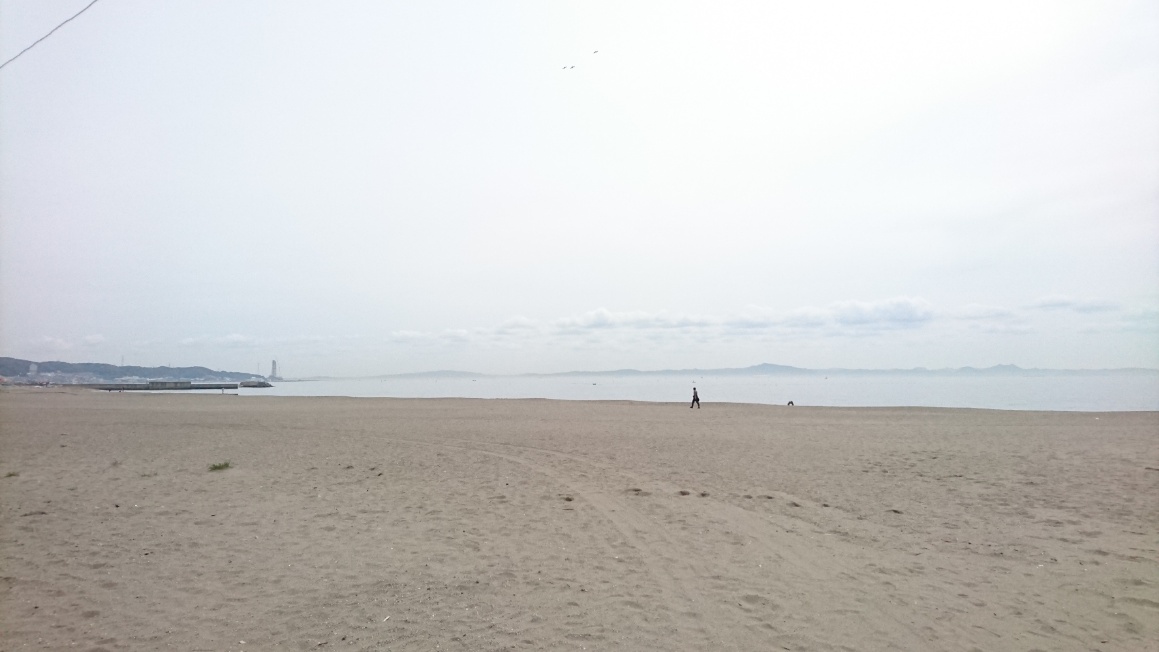 三浦海岸　ワールドカップ　海藻除去