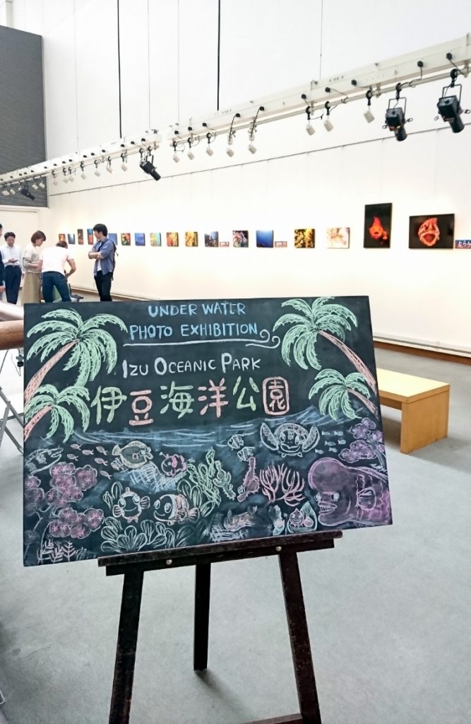 伊豆海洋公園 写真展 ダイビング