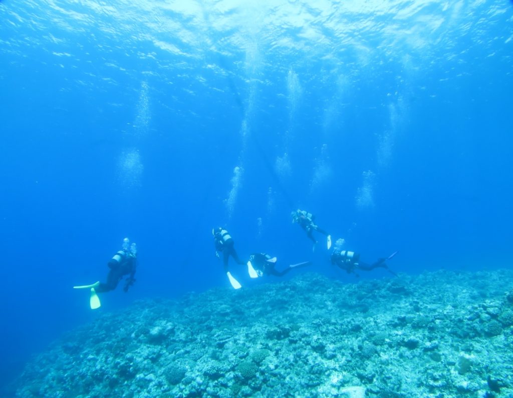 久米島 ダイビング