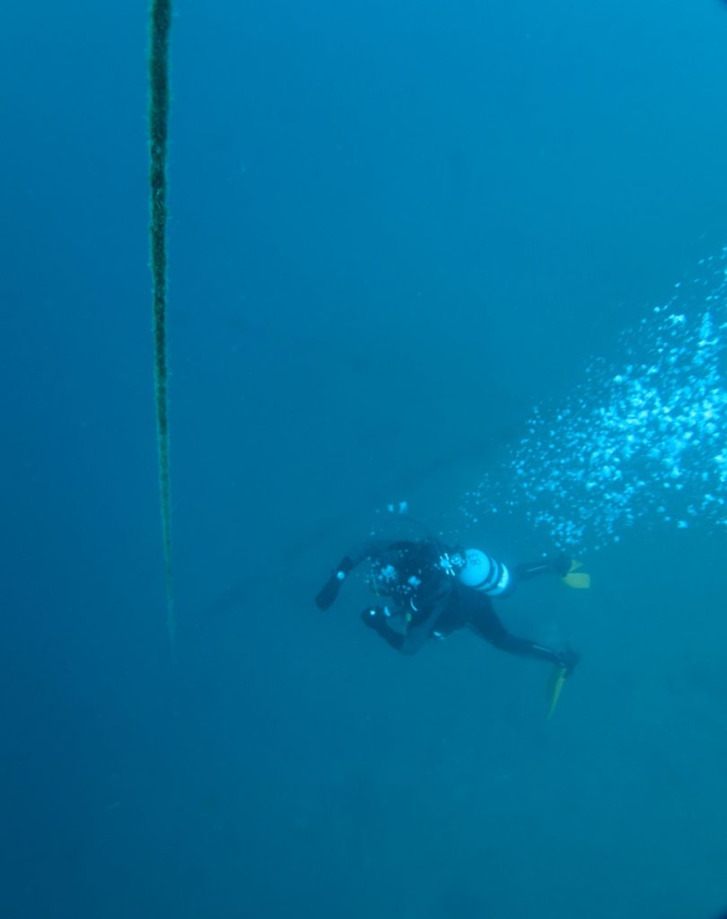 padi　AOW　アドバンス　神奈川　大船　鎌倉　ディープ