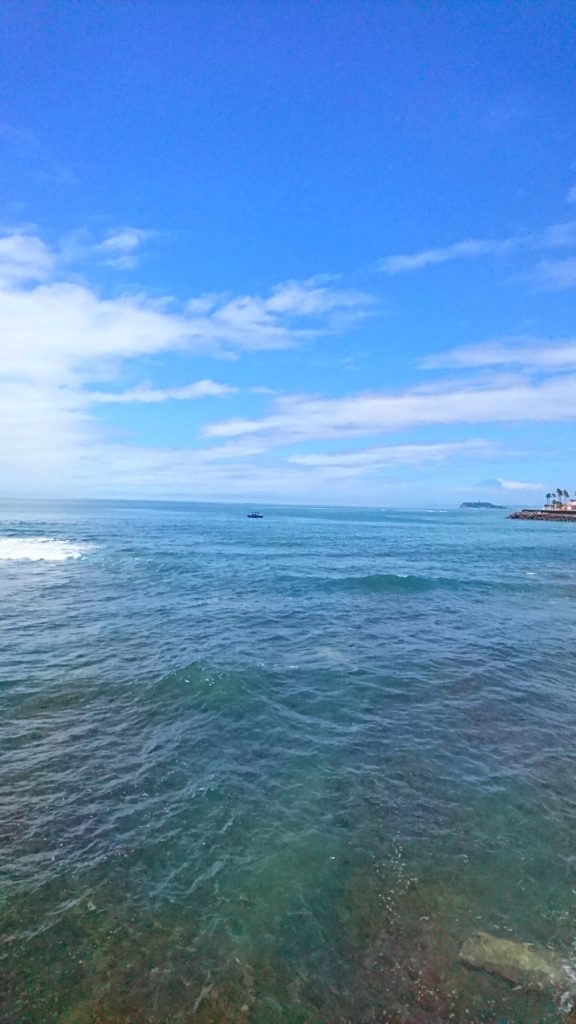 逗子　海　湘南　夏