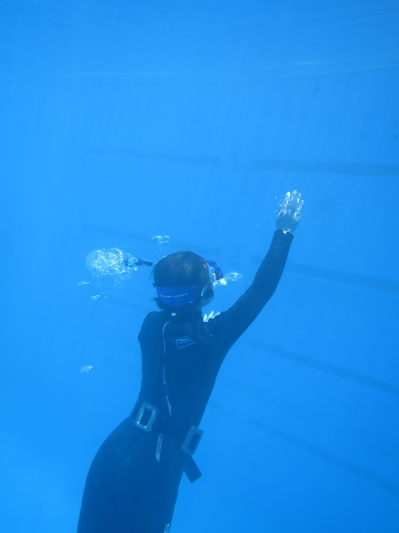 スキンダイビング　神奈川　三浦半島　鎌倉　ダイビング