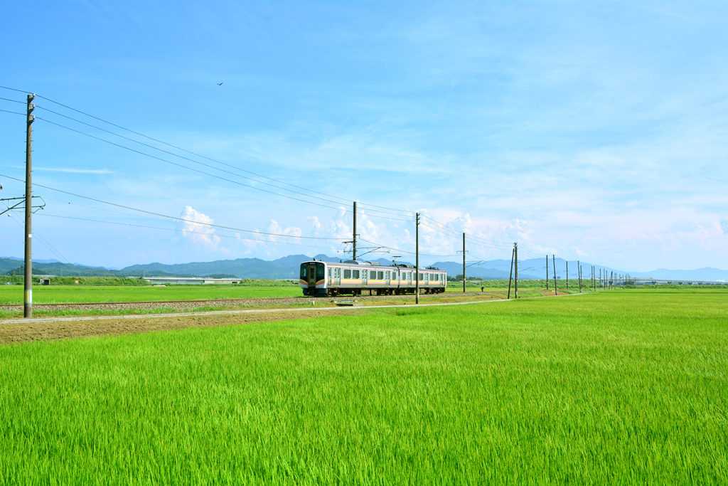 新潟　田んぼ　電車