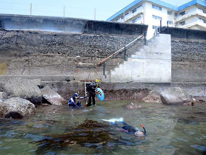 スノーケル　逗子　湘南　神奈川