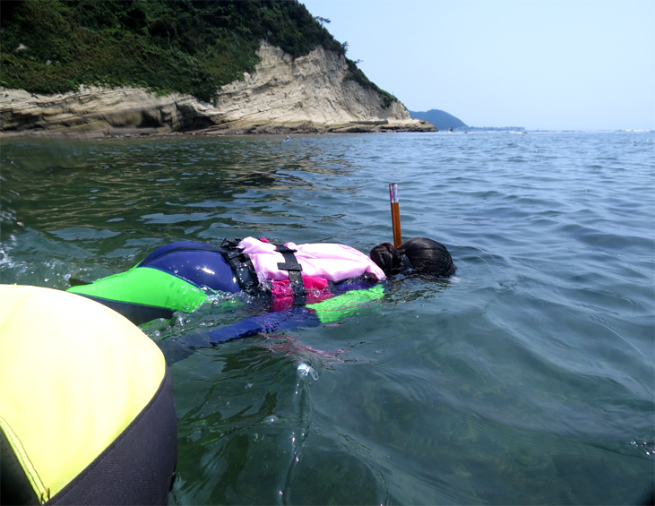 スノーケル　逗子　湘南　神奈川