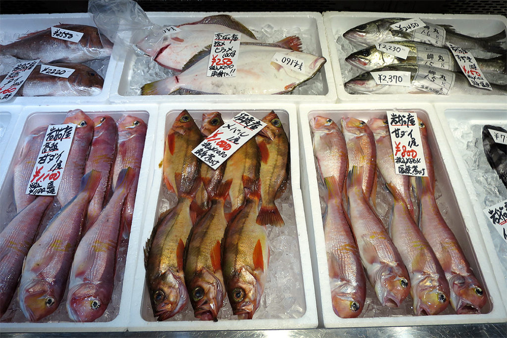 新潟　海鮮　岩牡蠣　岩船　夏