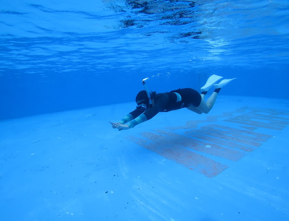 PADI スキンダイビング 神奈川