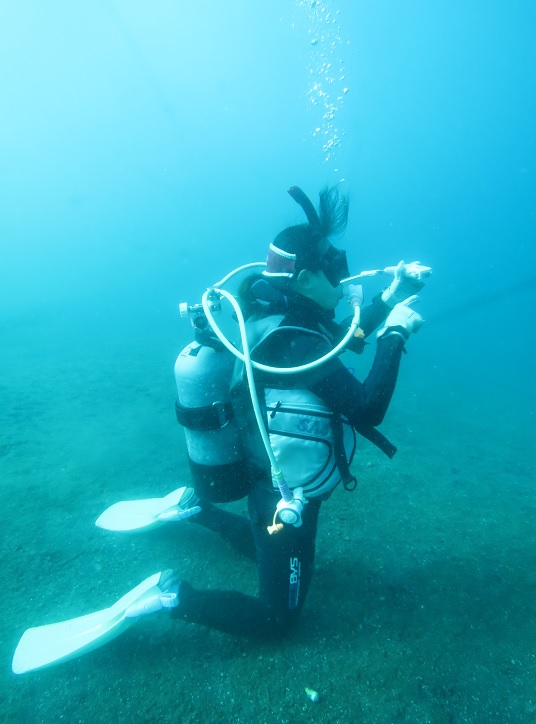 PADI　AOW　神奈川