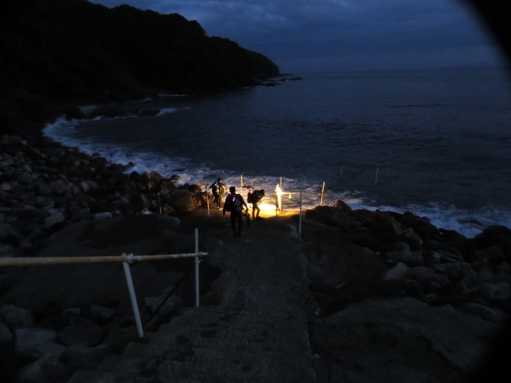 福浦　ナイトダイビング　神奈川