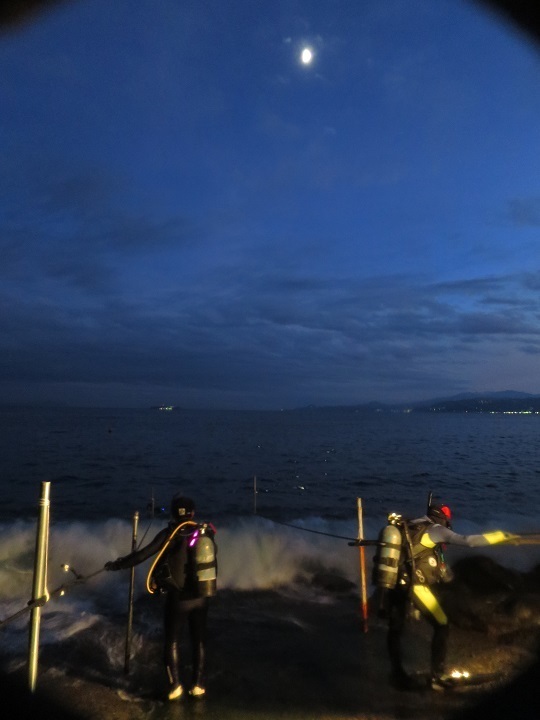 福浦　ナイトダイビング　神奈川