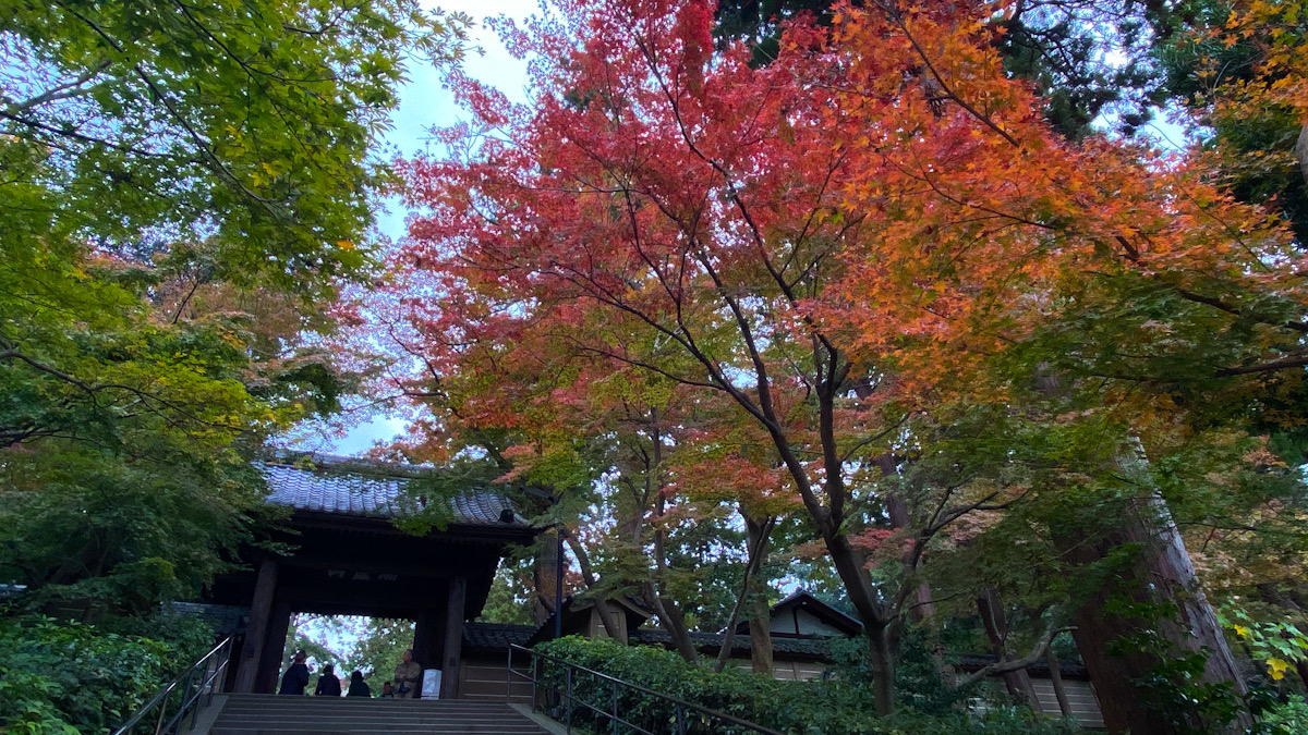 北鎌倉　紅葉　2019