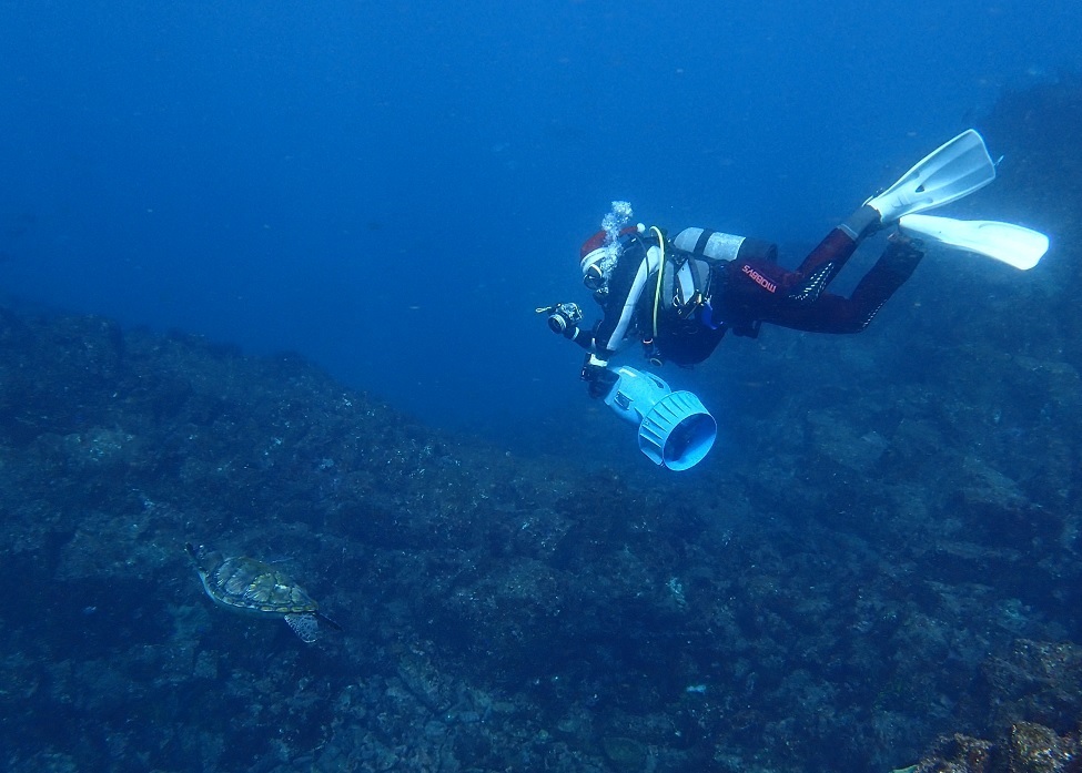 水中スクーター　PADI　講習　SPコース　ウミガメ