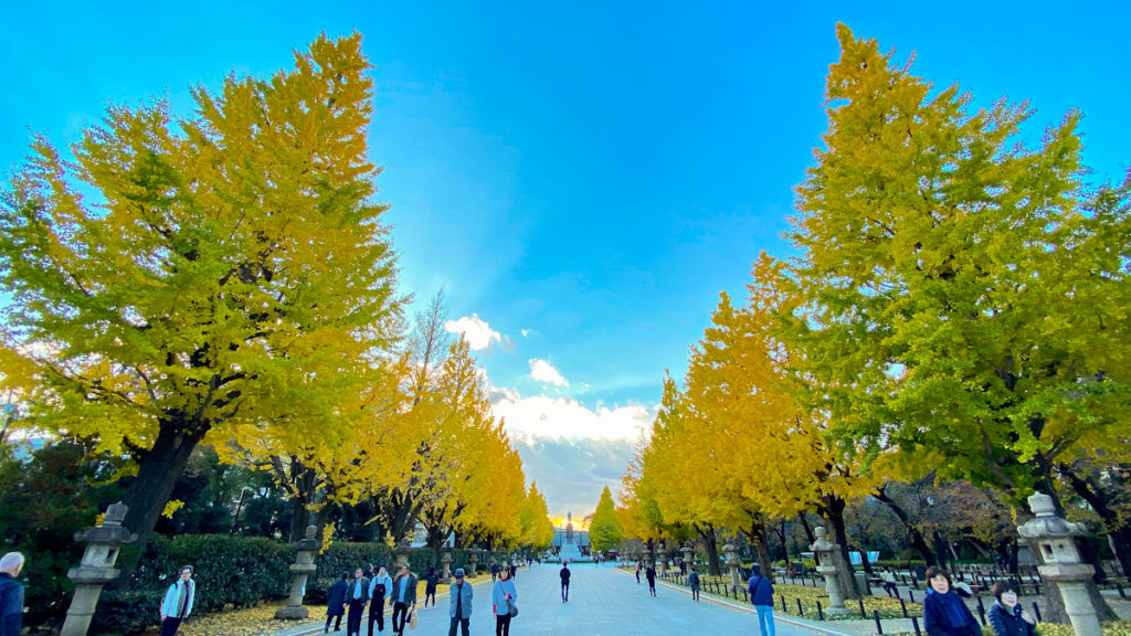 靖国神社　イチョウ　紅葉