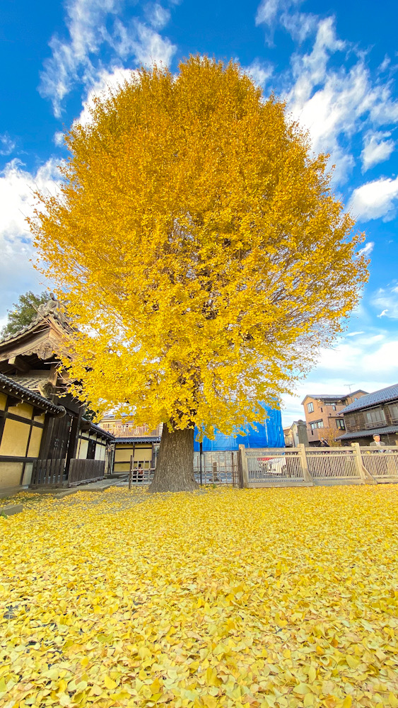 小江戸　川越　観光