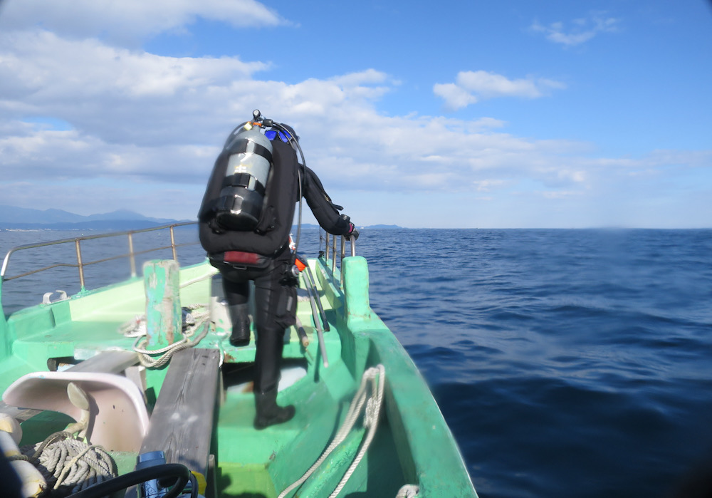 PADI ダイブマスター ガイド