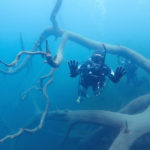本栖湖　ダイビング　高所潜水　PADI　アルティチュード