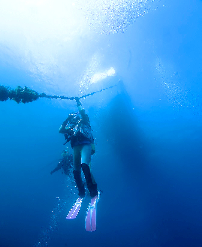 PADI　ボートSP　コース　講習　神奈川