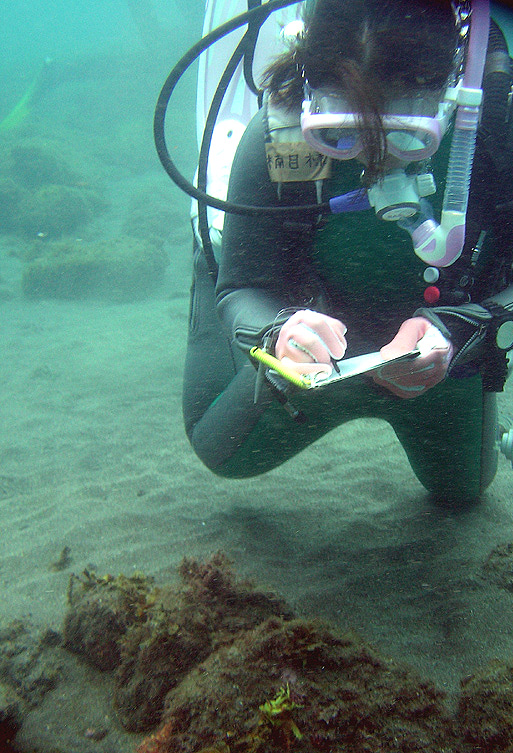 PADI　ナチュラリスト　SP　講習　生物　観察