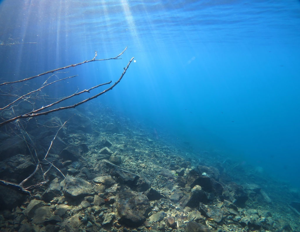 本栖湖　ダイビング　高所潜水　PADI　アルティチュード