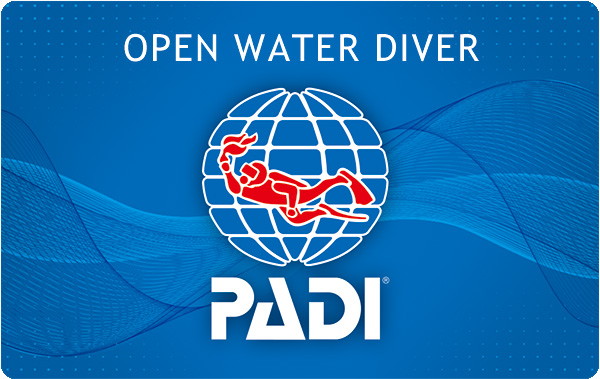 PADI　再発行　Cカード　手続き