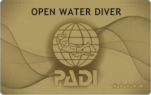 PADI　再発行　Cカード　手続き