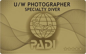 水中写真　SP　PADI　カード