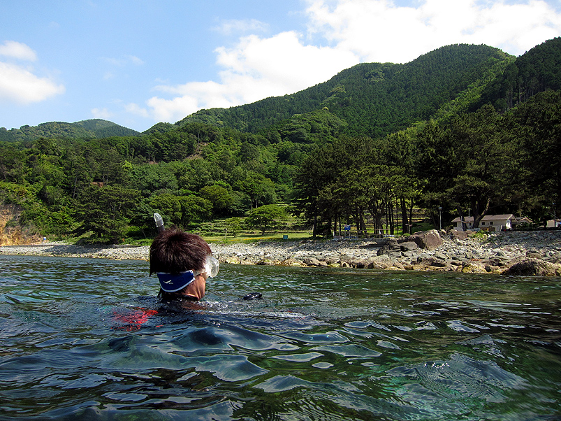 新緑　初夏　ダイビング