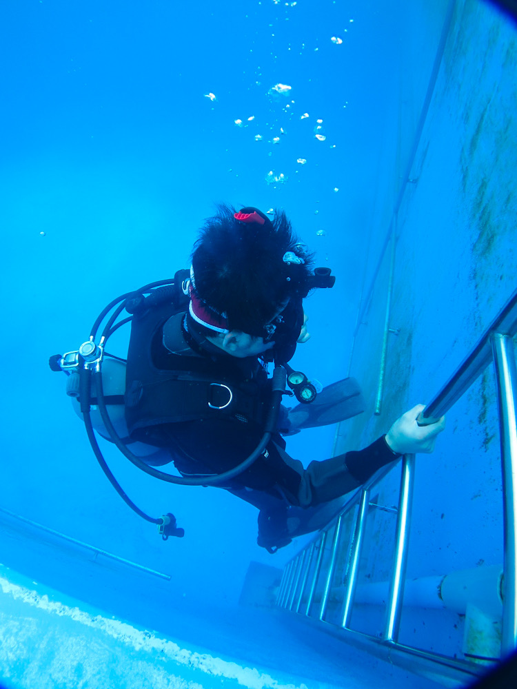 PADI オープンウォーターダイバーコース　ライセンス　Cカード　神奈川　湘南